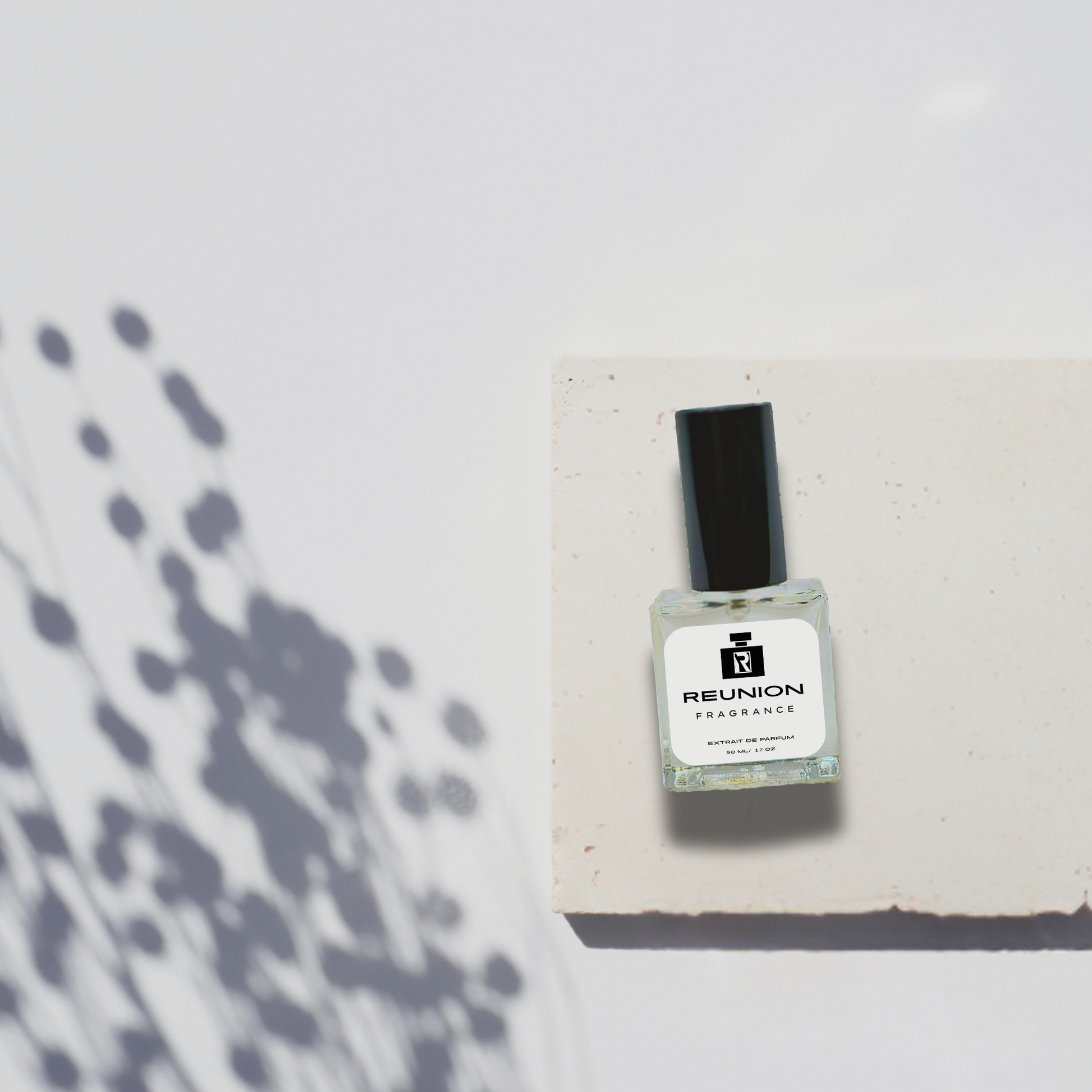 Rw52 Scandalous women